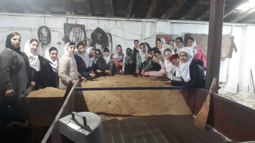 بازدید دختران ششم از کارخانه برنجکوبی